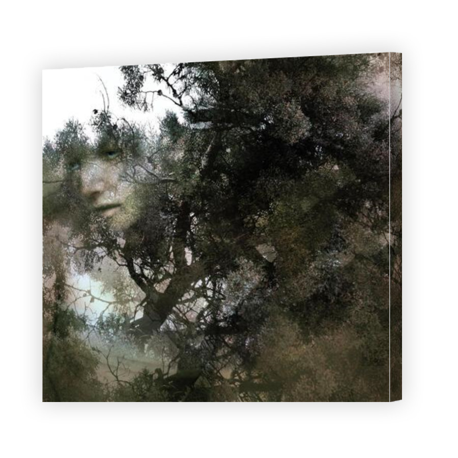 Thumbnail for Canvas - Gallery Canvas Wrap