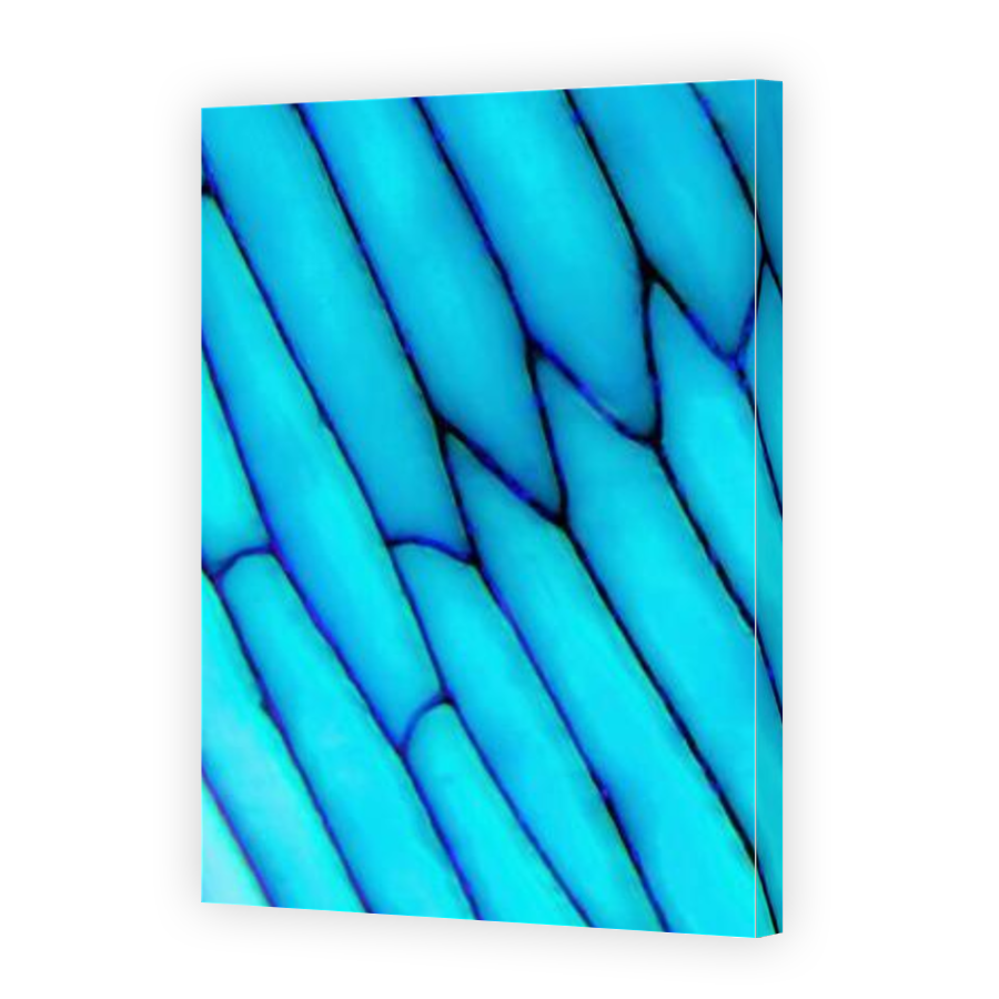Thumbnail for Canvas - Gallery Canvas Wrap