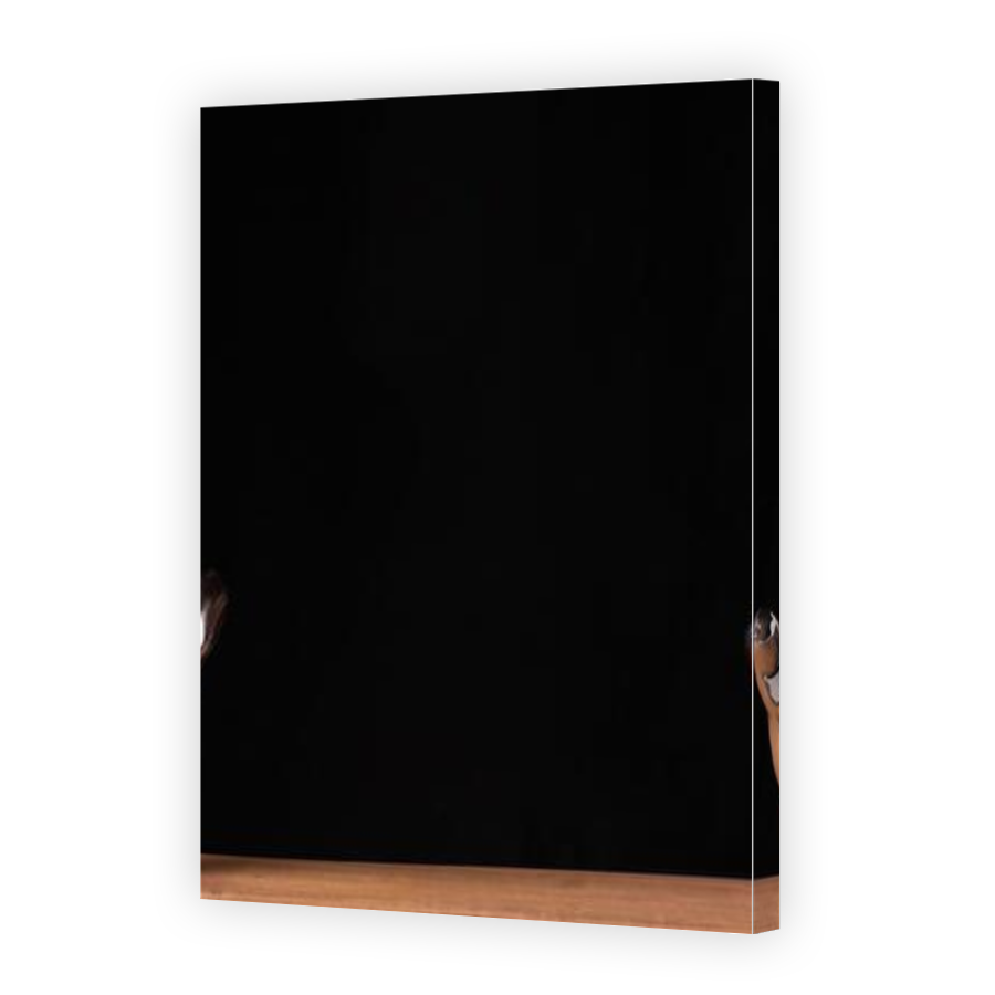 Thumbnail for Canvas - Gallery Canvas Wrap