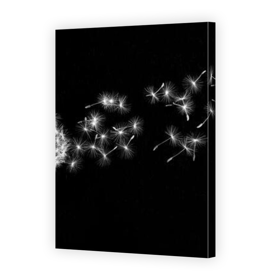 Thumbnail for Canvas - Gallery Canvas Wrap