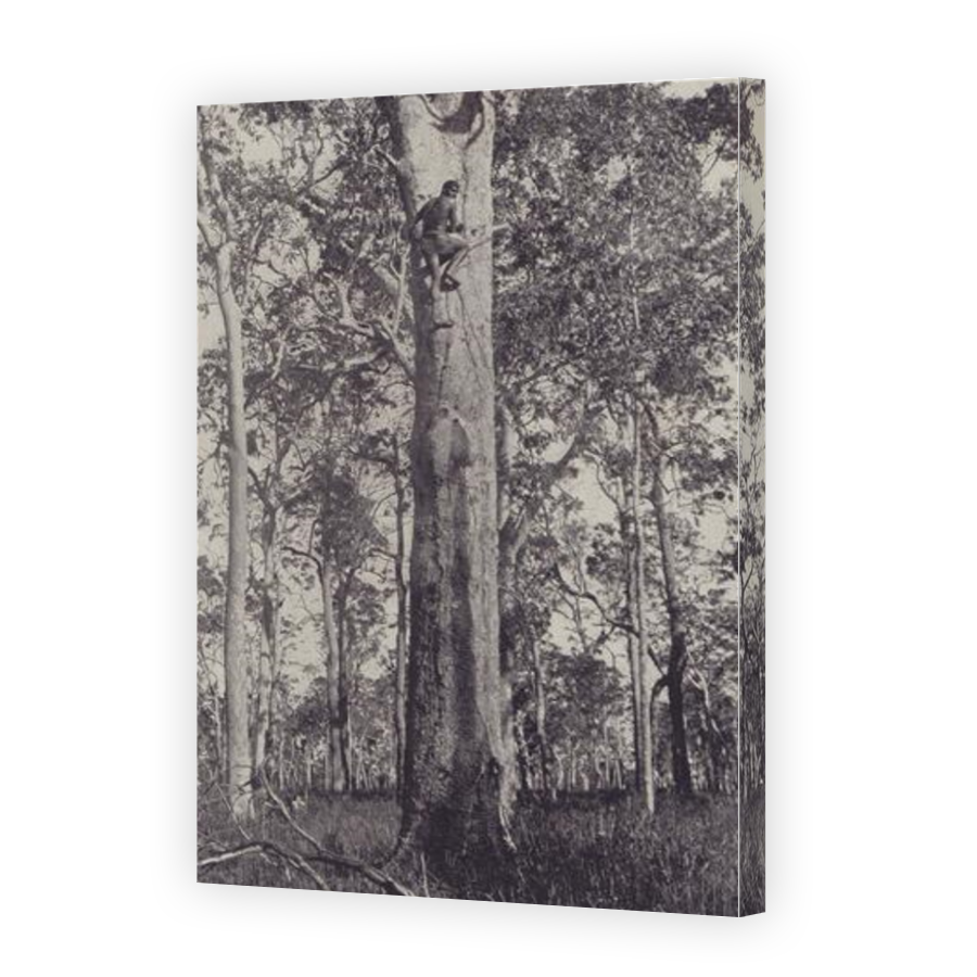 Thumbnail for Canvas - Gallery Canvas Wrap