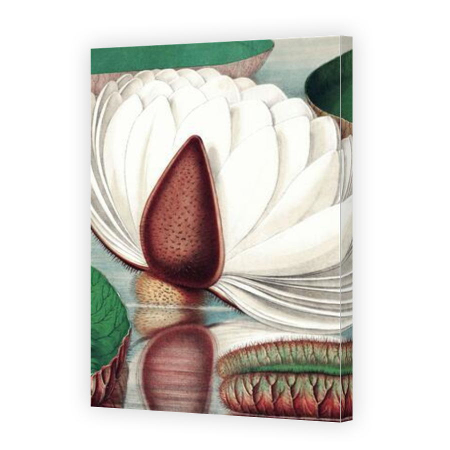 Thumbnail for Canvas - Gallery Canvas Wrap