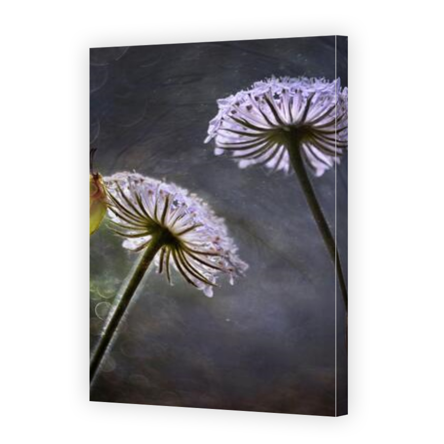 Thumbnail for Canvas - Gallery Canvas Wrap