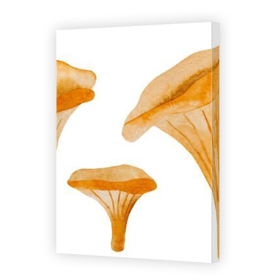 Thumbnail for Canvas - Gallery Canvas Wrap