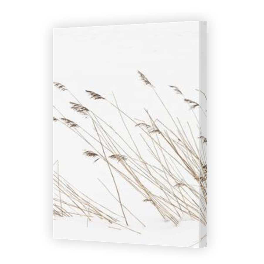 Thumbnail for Canvas - Gallery Canvas Wrap