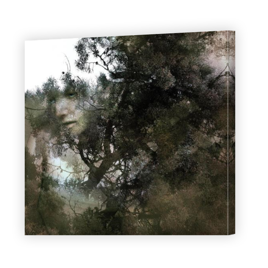 Thumbnail for Canvas - Mirror Image Canvas Wrap