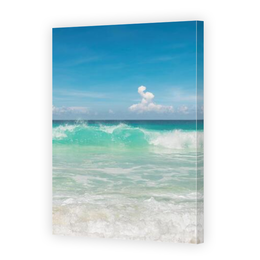 Thumbnail for Canvas - Mirror Image Canvas Wrap