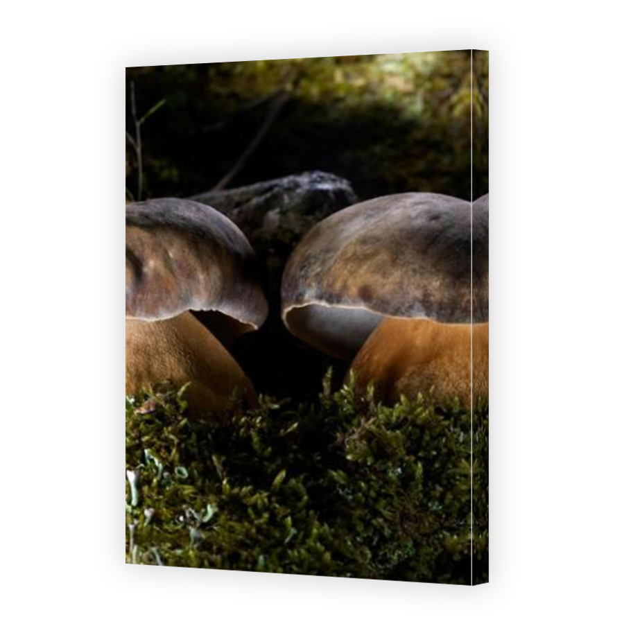 Thumbnail for Canvas - Mirror Image Canvas Wrap