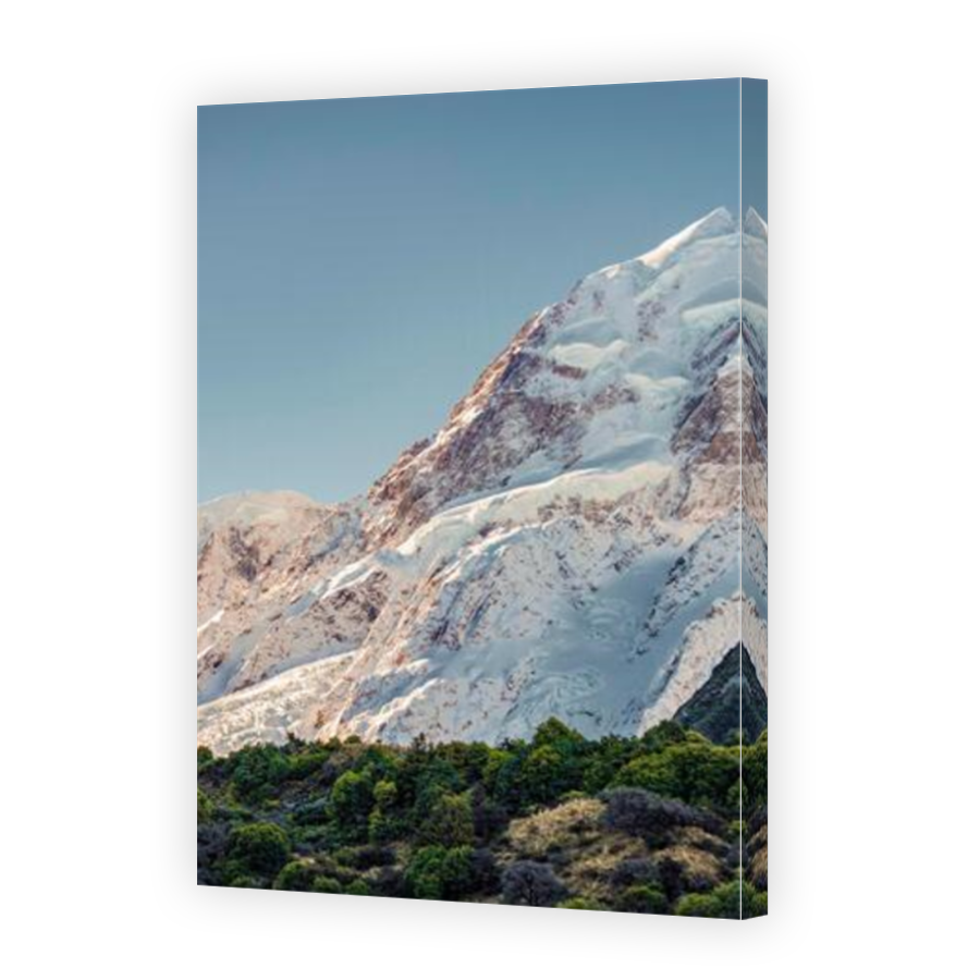 Thumbnail for Canvas - Mirror Image Canvas Wrap