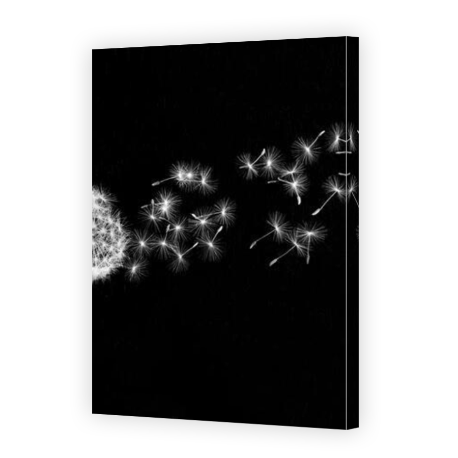 Thumbnail for Canvas - Mirror Image Canvas Wrap