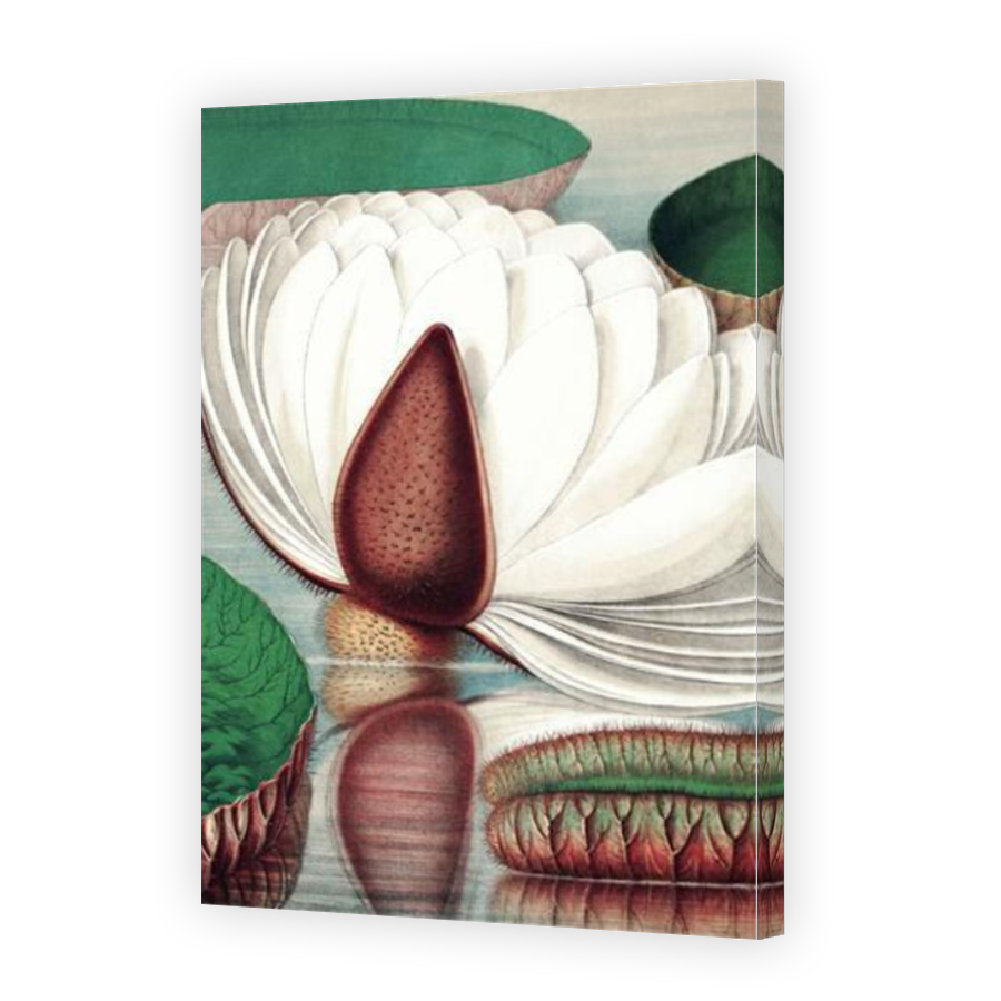 Thumbnail for Canvas - Mirror Image Canvas Wrap