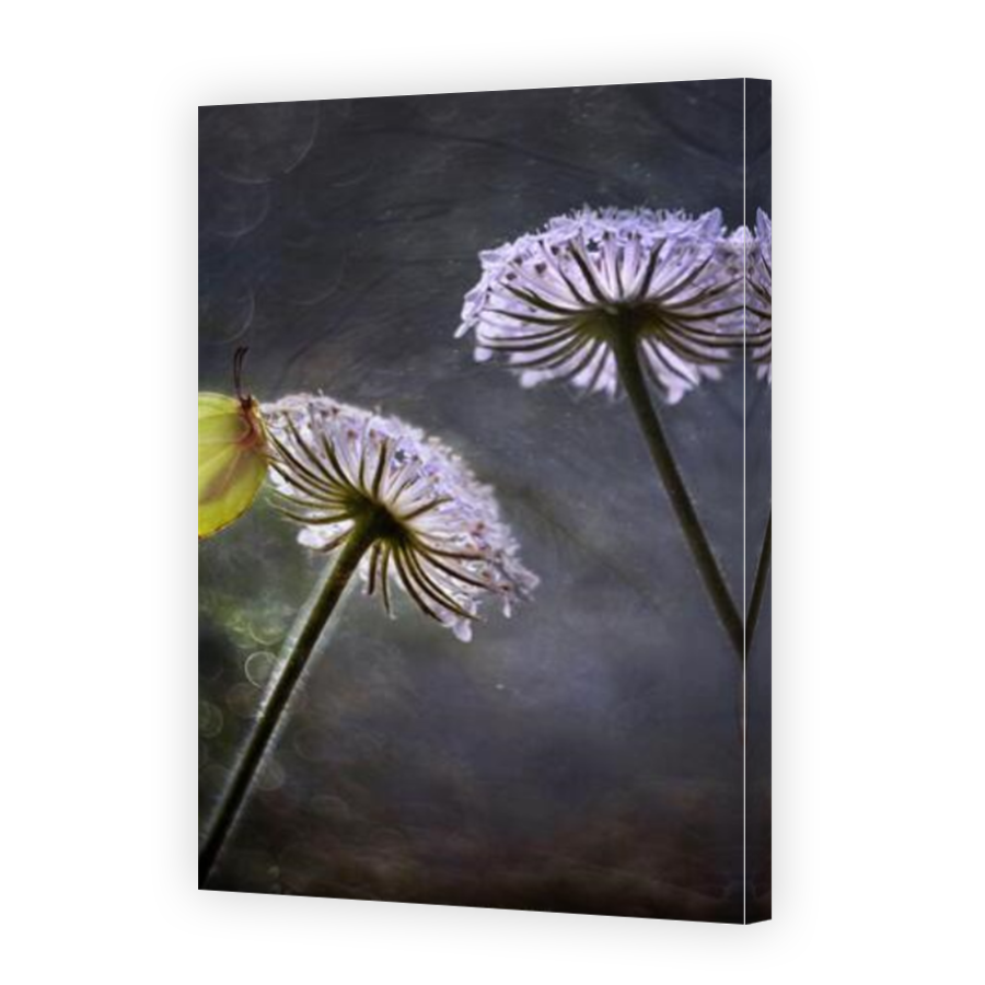 Thumbnail for Canvas - Mirror Image Canvas Wrap