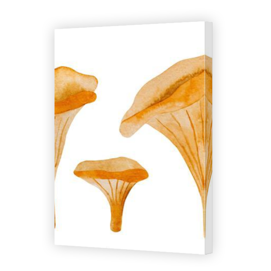 Thumbnail for Canvas - Mirror Image Canvas Wrap