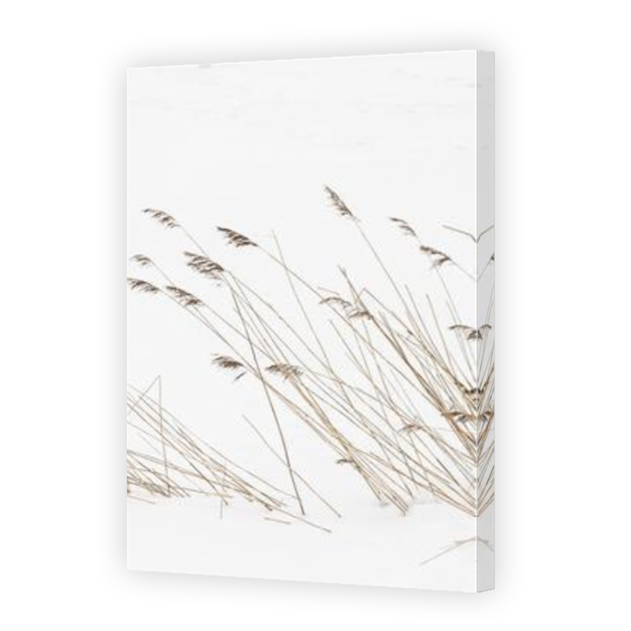 Thumbnail for Canvas - Mirror Image Canvas Wrap