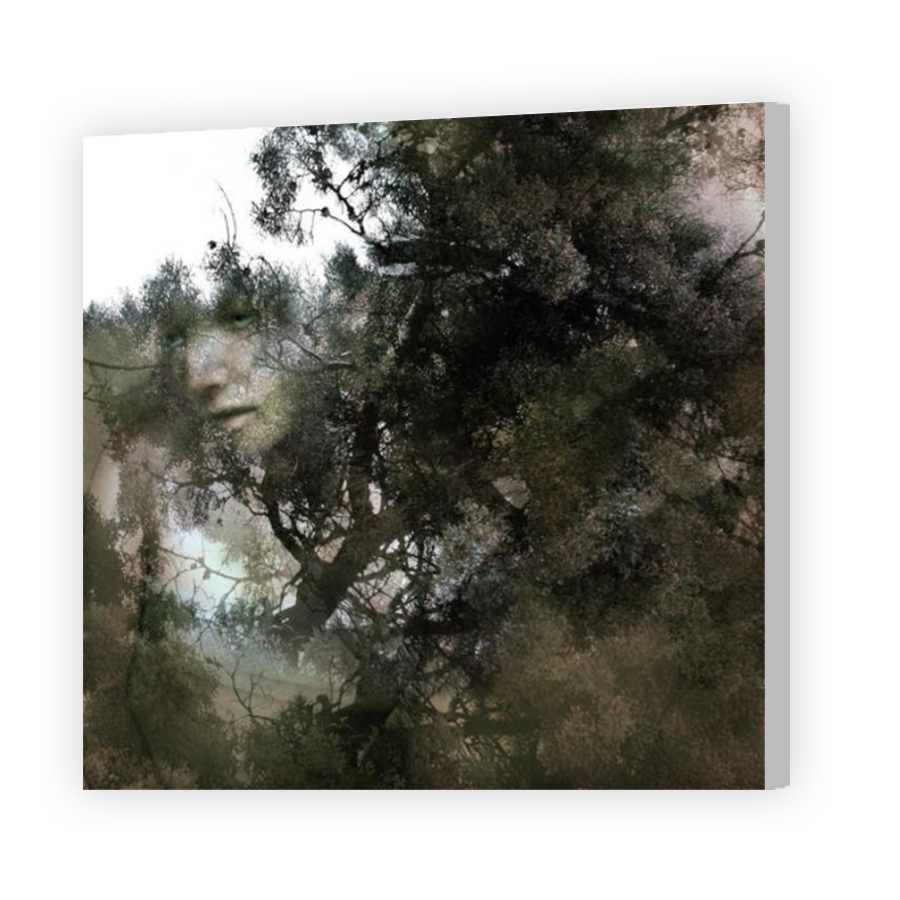 Thumbnail for Canvas - Coloured Canvas Wrap