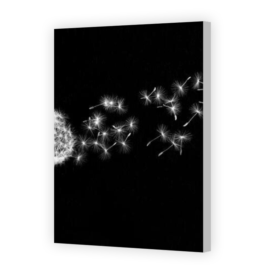 Thumbnail for Canvas - Coloured Canvas Wrap
