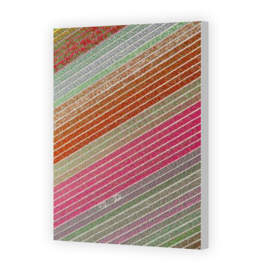 Thumbnail for Canvas - Coloured Canvas Wrap