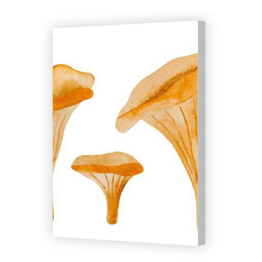 Thumbnail for Canvas - Coloured Canvas Wrap