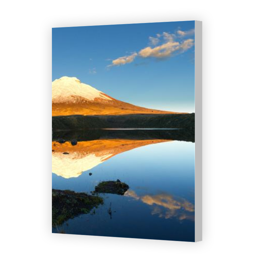 Thumbnail for Canvas - Coloured Canvas Wrap