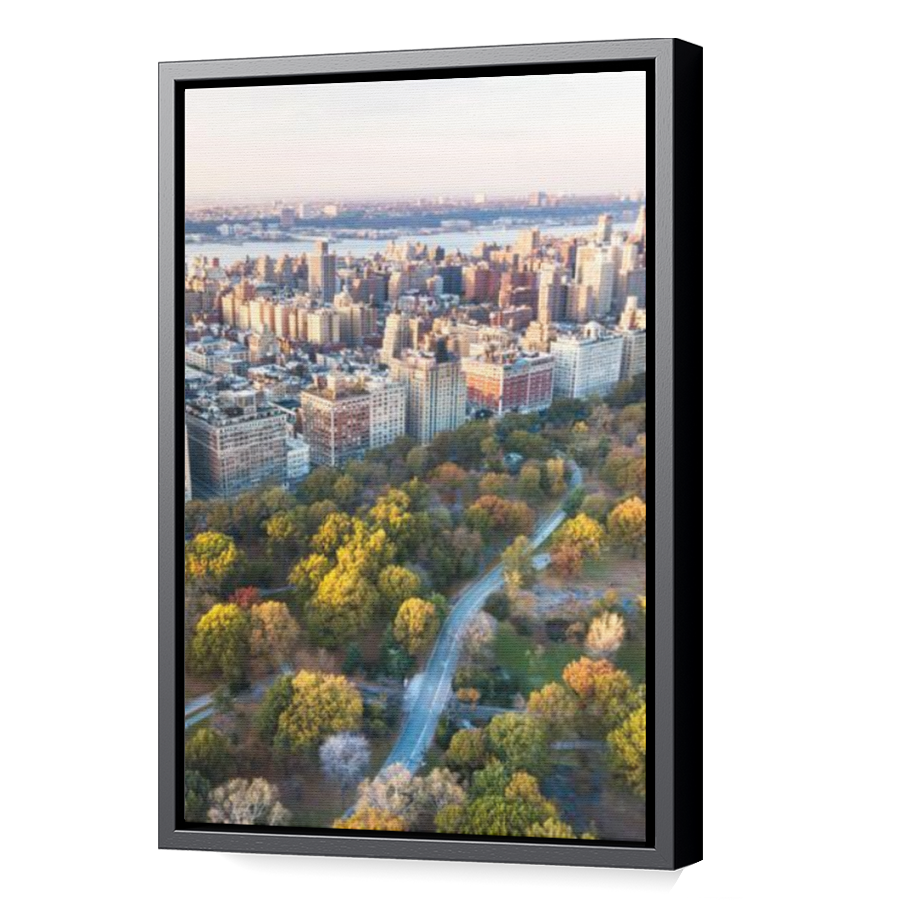 Thumbnail for Canvas - Black Floating Frame