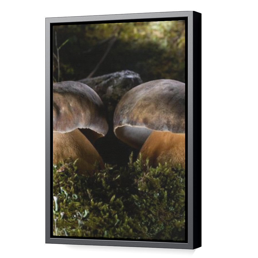 Thumbnail for Canvas - Black Floating Frame