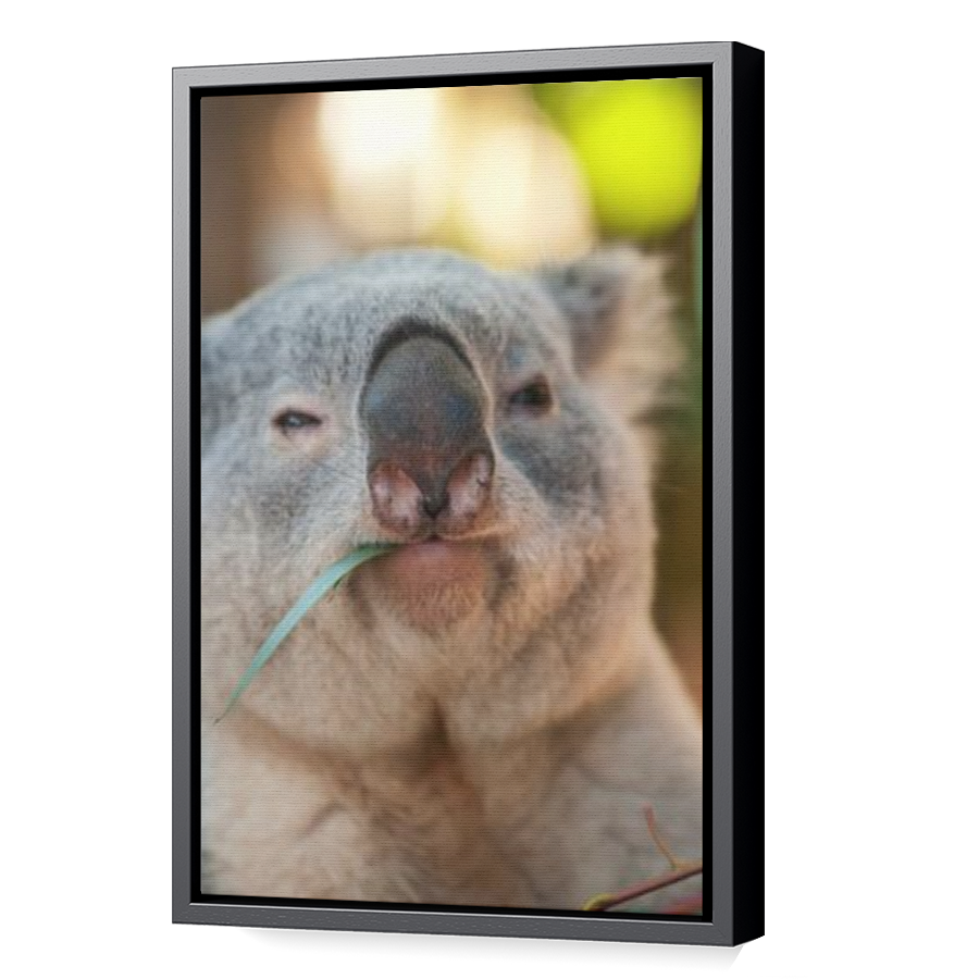 Thumbnail for Canvas - Black Floating Frame
