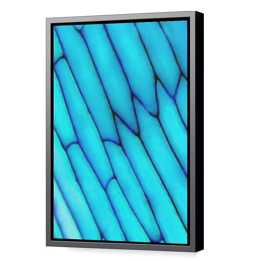 Thumbnail for Canvas - Black Floating Frame