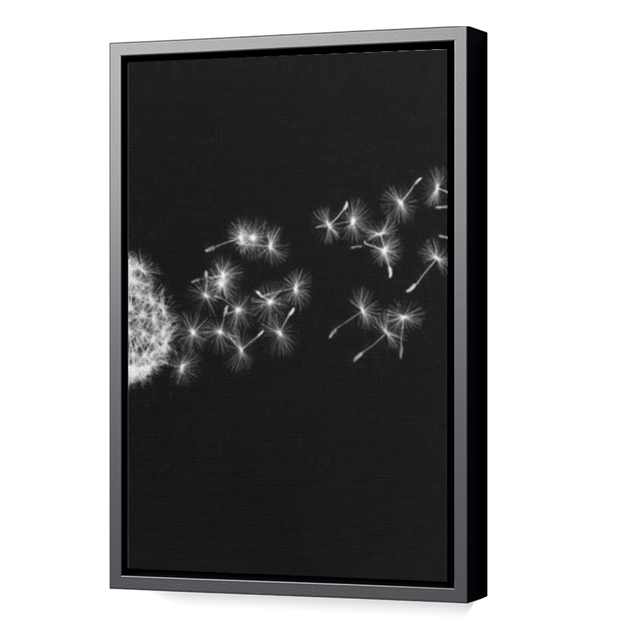Thumbnail for Canvas - Black Floating Frame