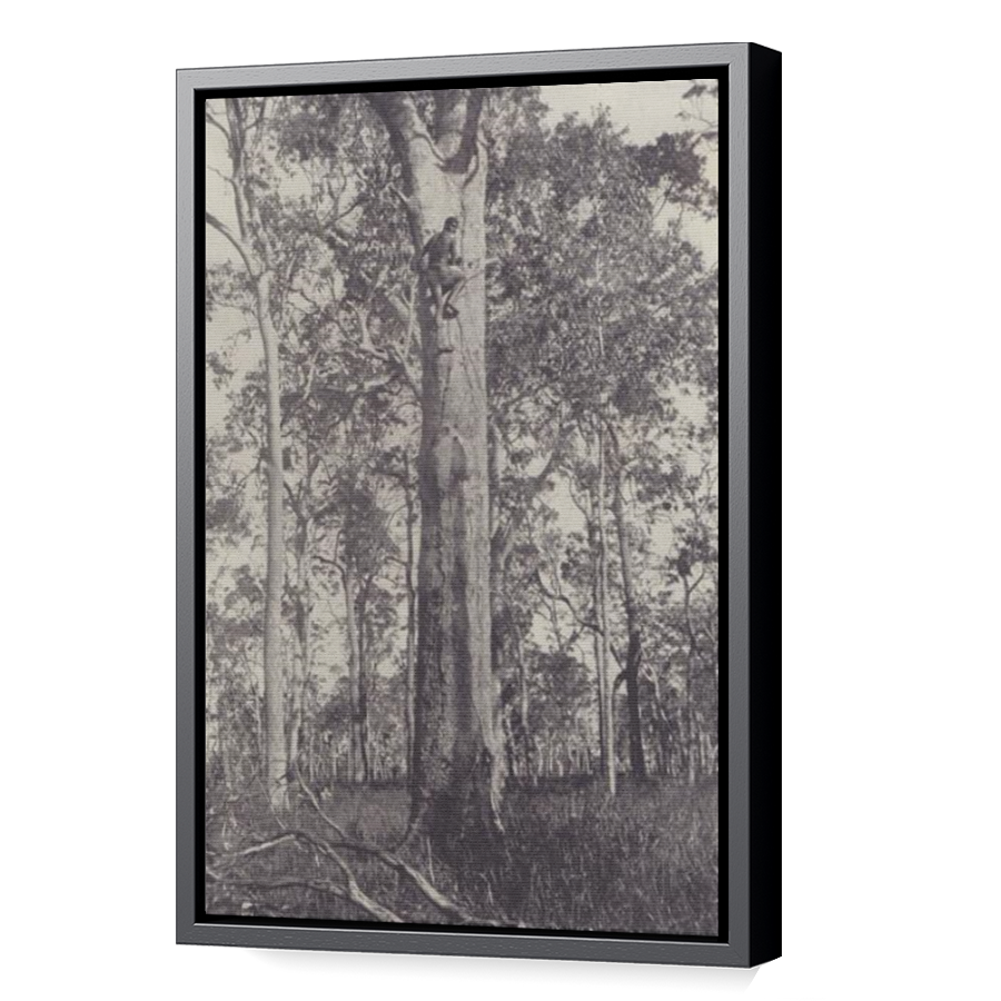 Thumbnail for Canvas - Black Floating Frame