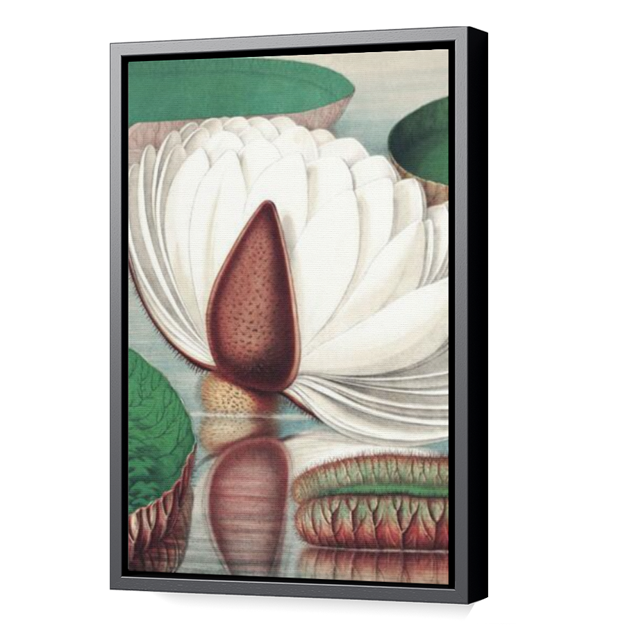 Thumbnail for Canvas - Black Floating Frame
