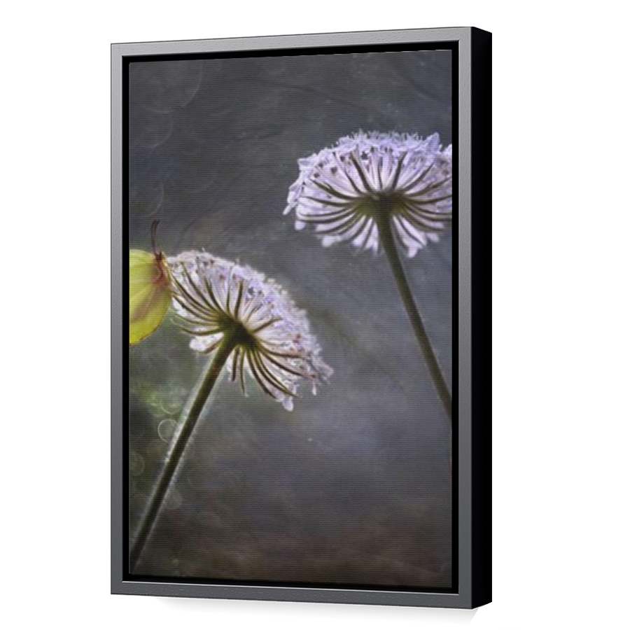 Thumbnail for Canvas - Black Floating Frame