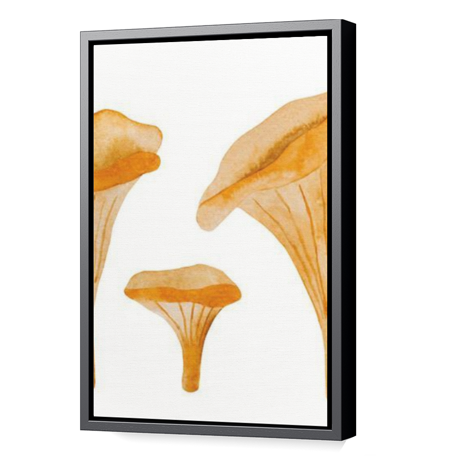 Thumbnail for Canvas - Black Floating Frame