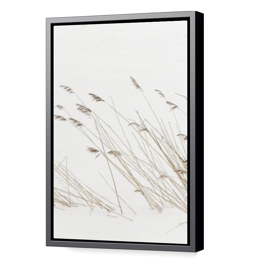 Thumbnail for Canvas - Black Floating Frame