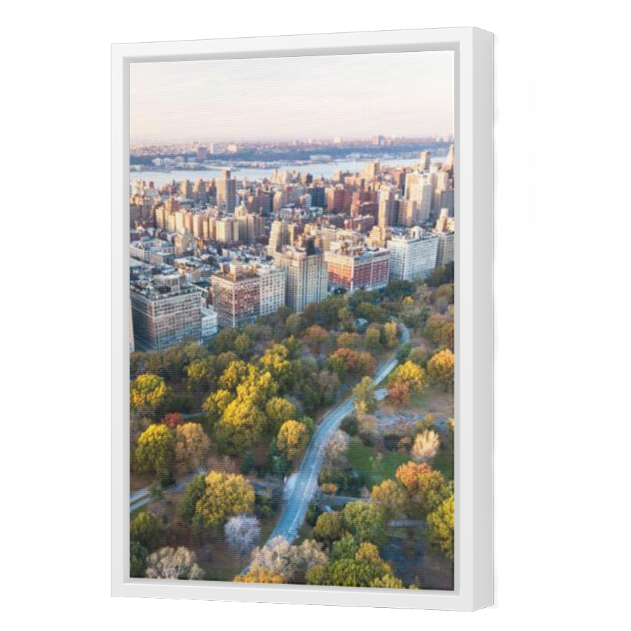Thumbnail for Canvas - White Floating Frame