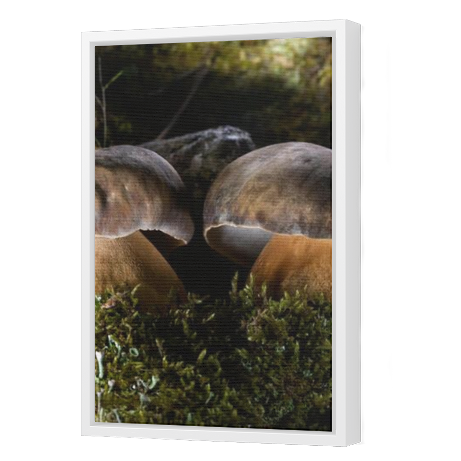 Thumbnail for Canvas - White Floating Frame