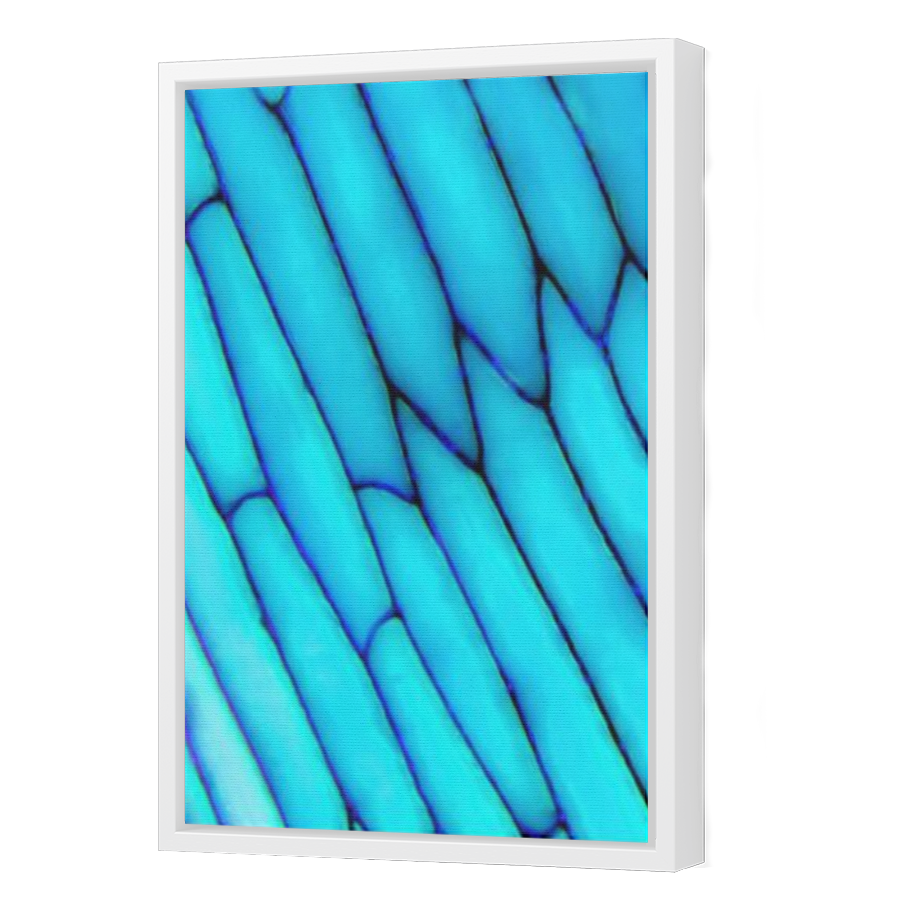 Thumbnail for Canvas - White Floating Frame