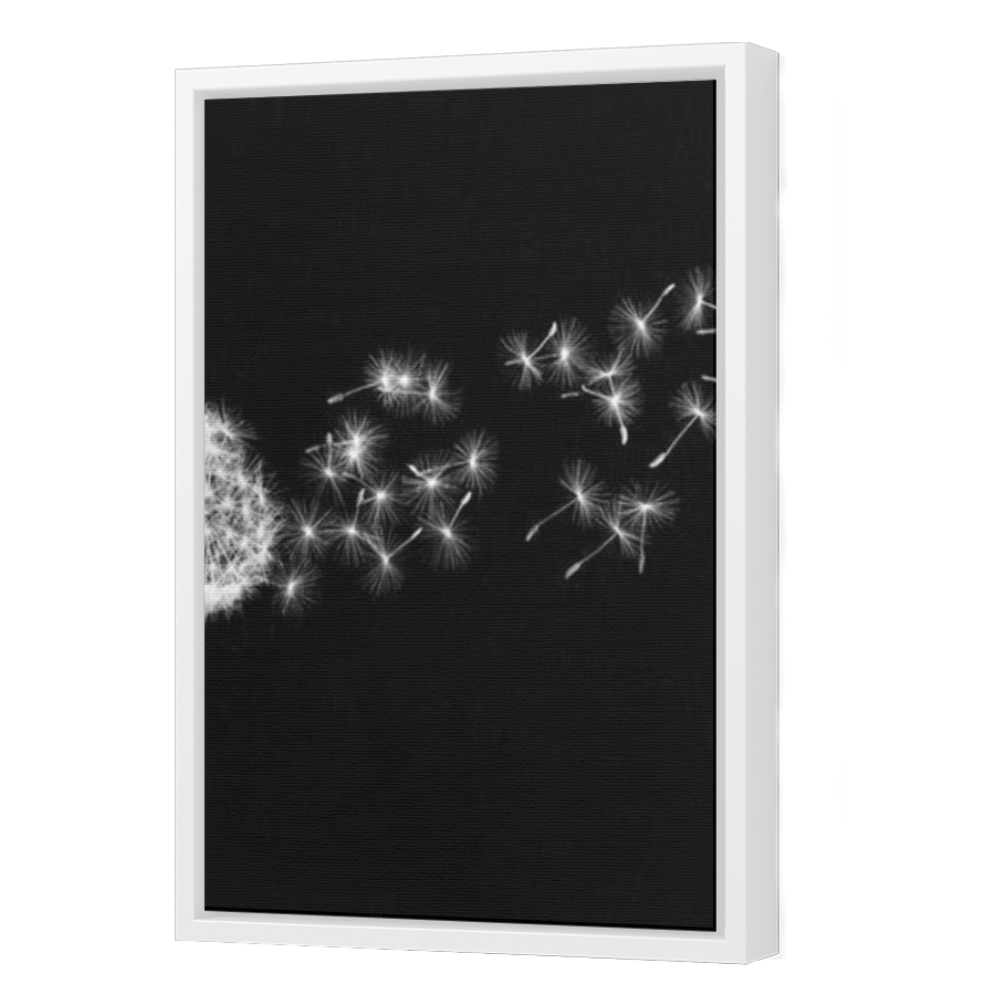 Thumbnail for Canvas - White Floating Frame