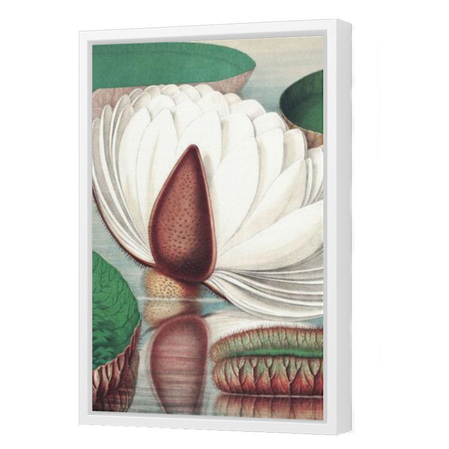 Thumbnail for Canvas - White Floating Frame