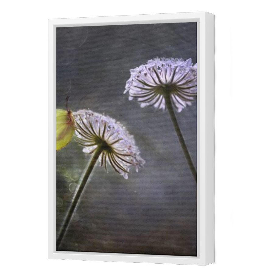 Thumbnail for Canvas - White Floating Frame