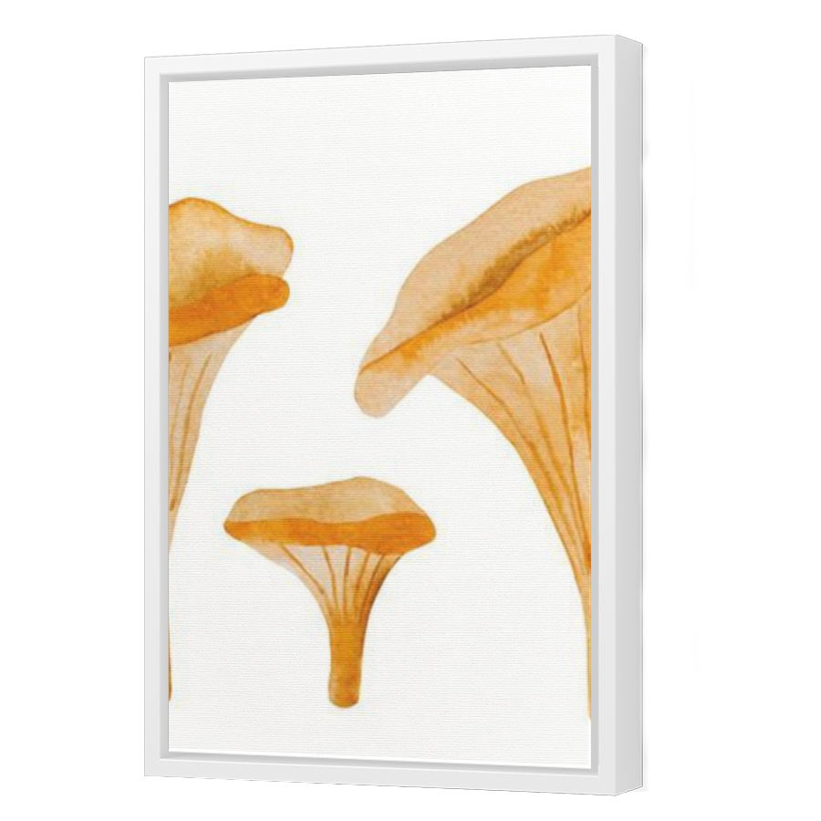 Thumbnail for Canvas - White Floating Frame