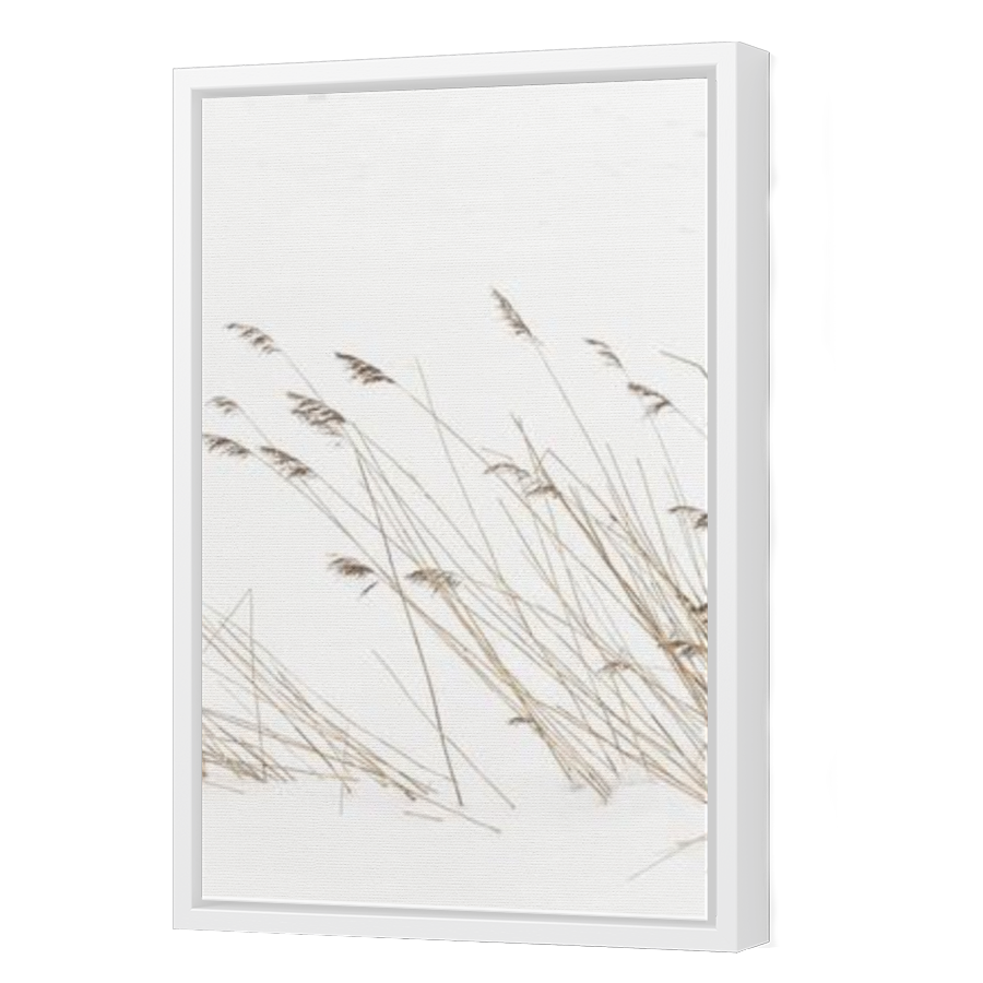 Thumbnail for Canvas - White Floating Frame