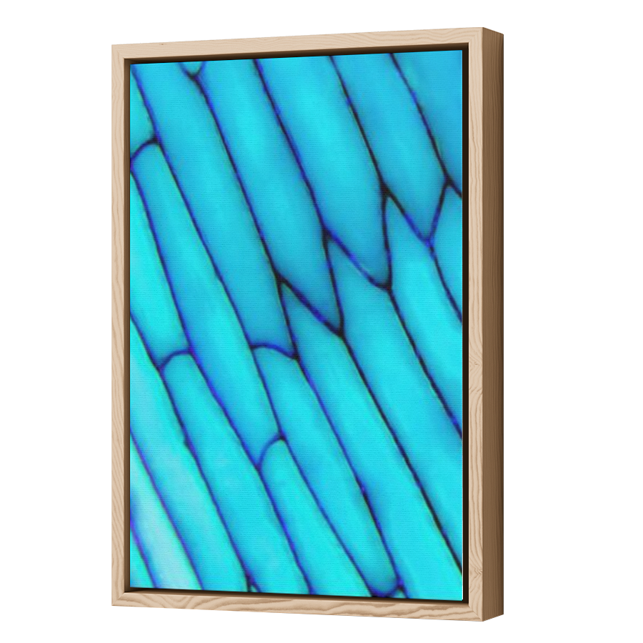 Thumbnail for Canvas - Wood Grain Floating Frame