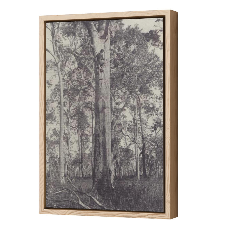 Thumbnail for Canvas - Wood Grain Floating Frame