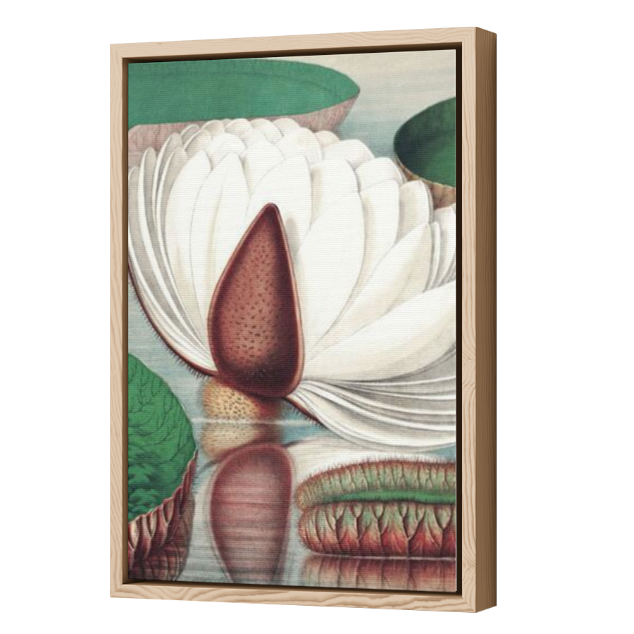Thumbnail for Canvas - Wood Grain Floating Frame