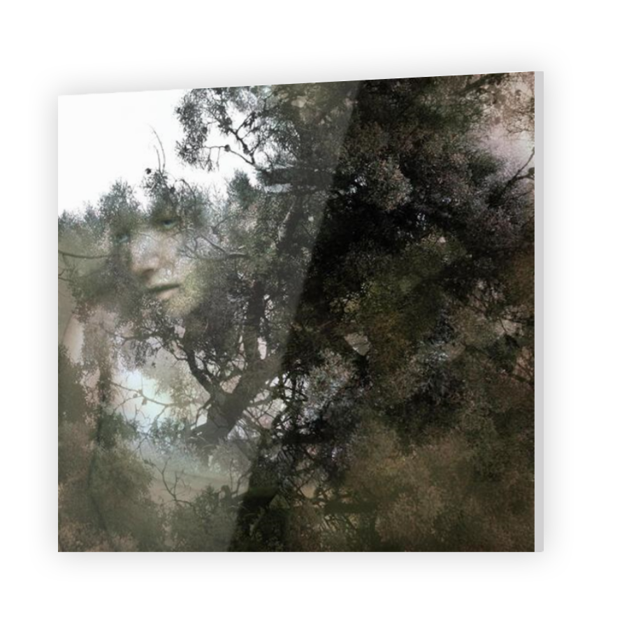 Thumbnail for Acrylic