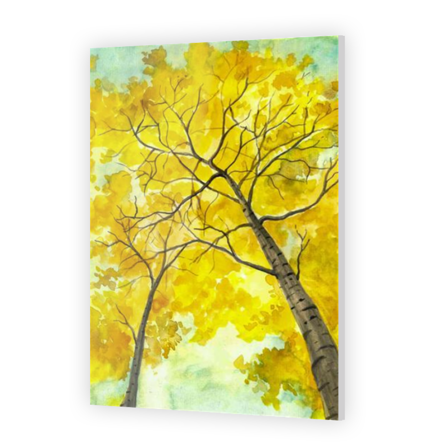 Thumbnail for Acrylic