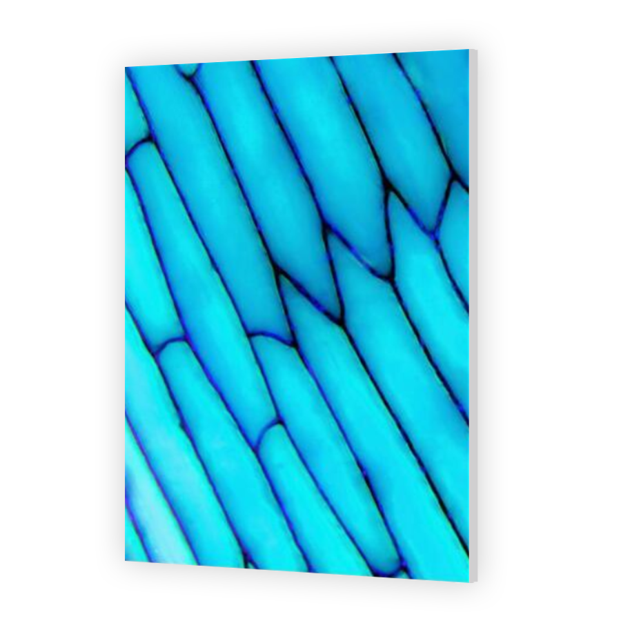 Thumbnail for HD Metal